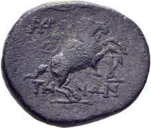 coin rev