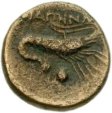 coin rev