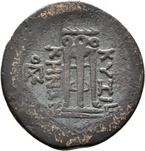 coin rev
