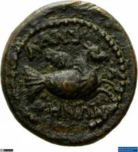 coin rev