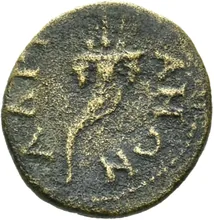 coin rev