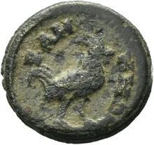 coin rev