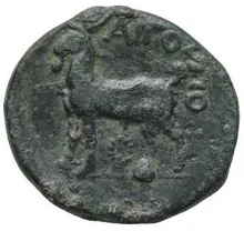 coin rev