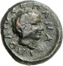 coin rev