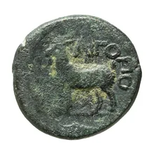 coin rev