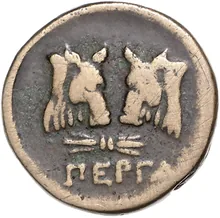coin rev