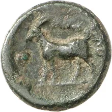 coin rev
