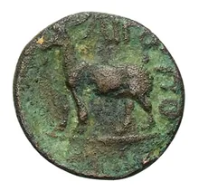 coin rev