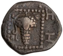 coin rev