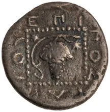 coin rev