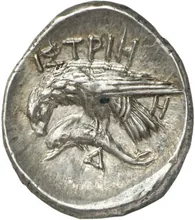 coin rev