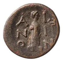 coin rev