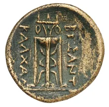 coin rev