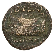 coin rev