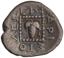 coin rev