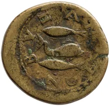coin rev
