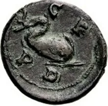 coin rev