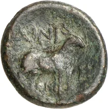 coin rev