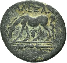 coin rev