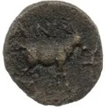 coin rev