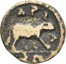 coin rev