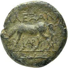 coin rev