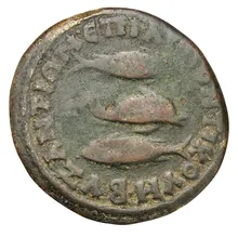 coin rev