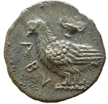 coin obv
