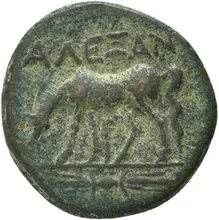 coin rev