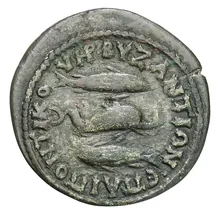 coin rev