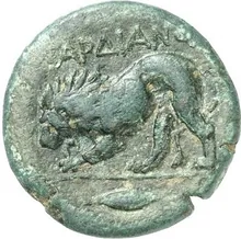 coin rev