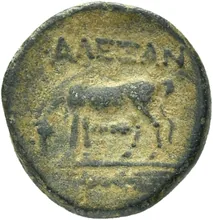 coin rev