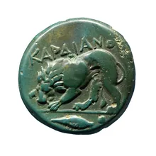 coin rev