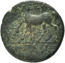 coin rev