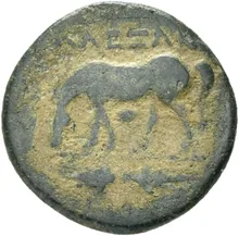 coin rev