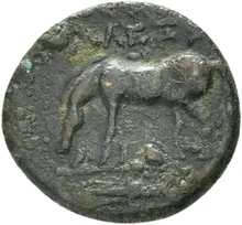coin rev