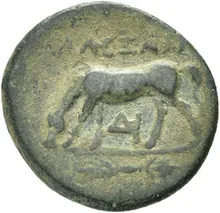 coin rev