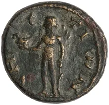 coin rev