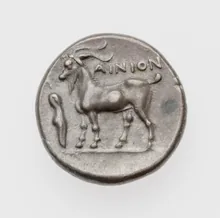 coin rev