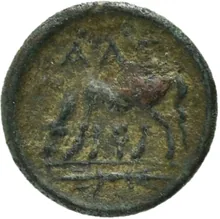 coin rev