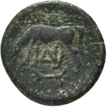 coin rev