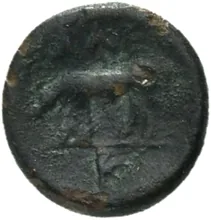 coin rev