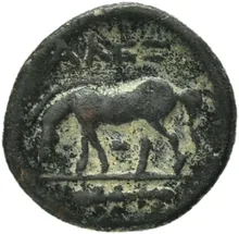 coin rev