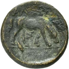 coin rev
