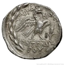 coin rev