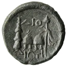coin rev