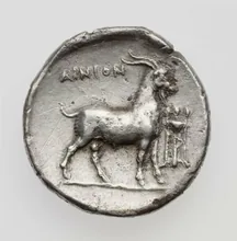 coin rev