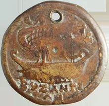 coin rev