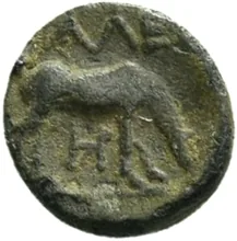 coin rev