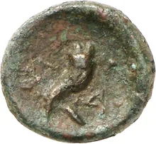 coin rev